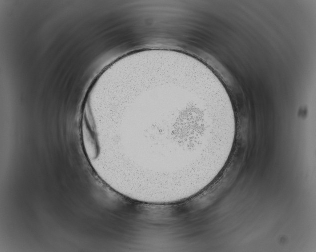 X0000101400856200807281000