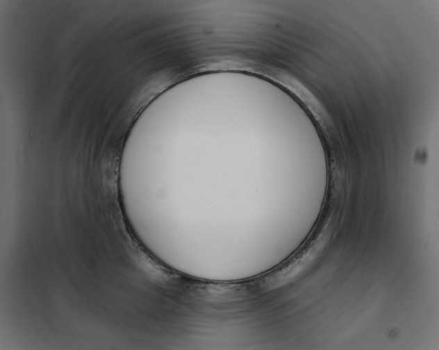 X0000101400857200807281000