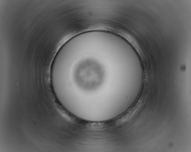 X0000101400858200807281000