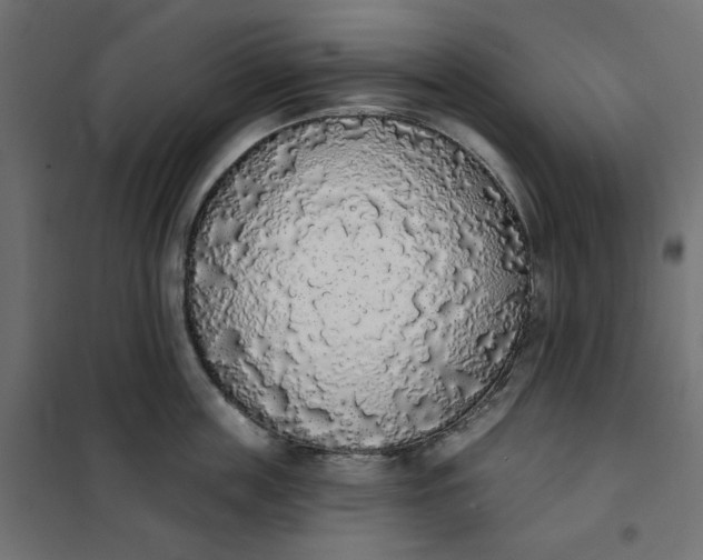 X0000101400859200807281000