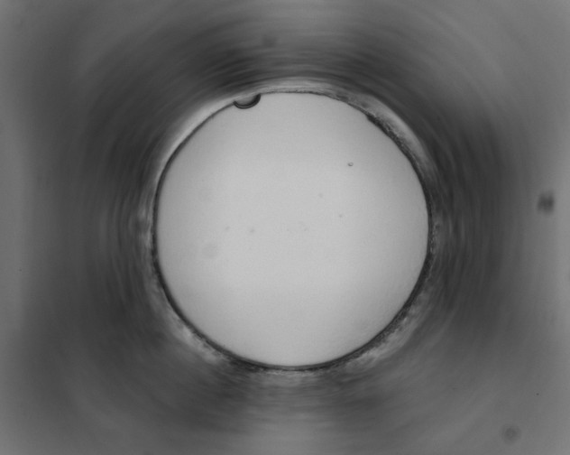 X0000101400860200807281000