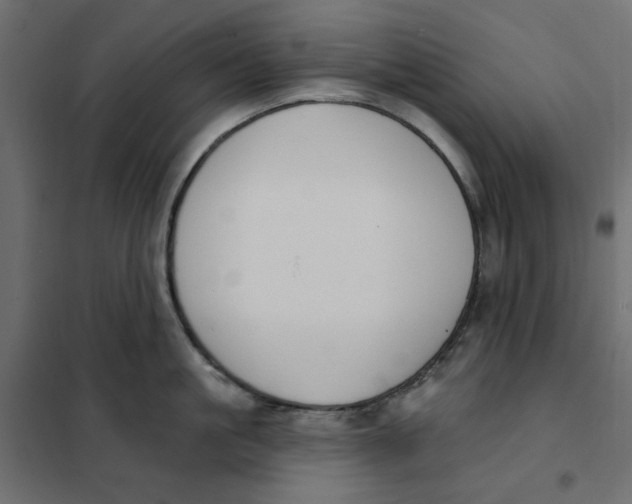 X0000101400861200807281000