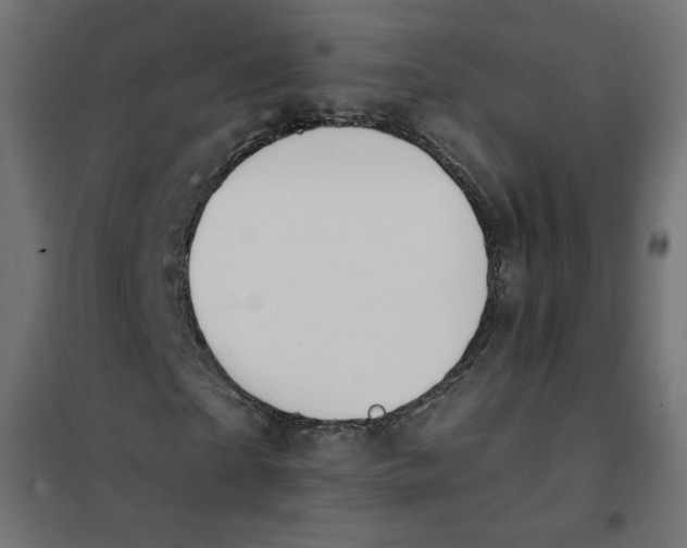 X0000101400865200807280959