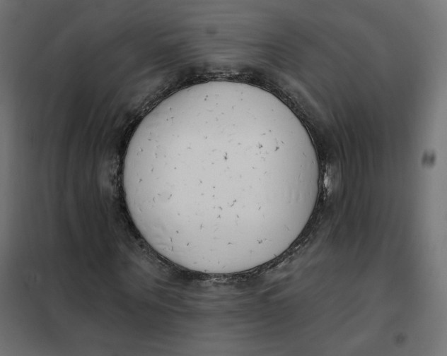 X0000101400867200807280959