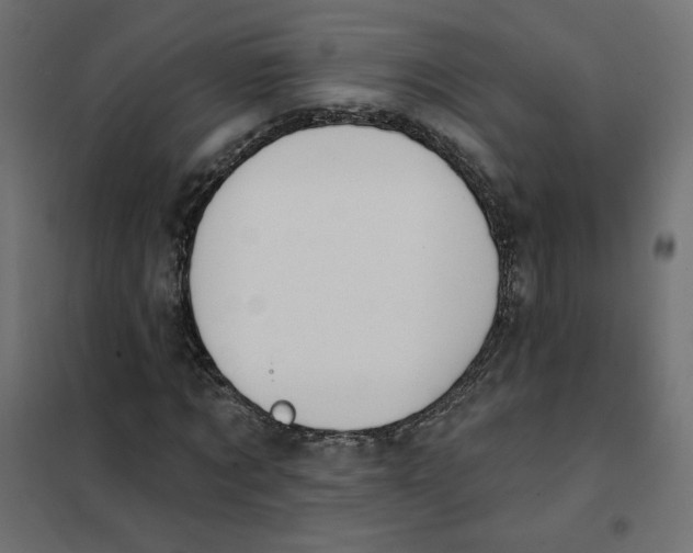 X0000101400869200807280959