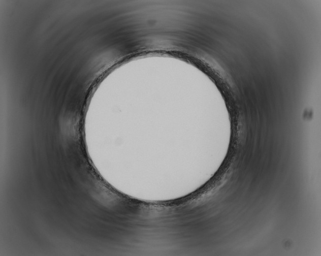 X0000101400873200807280959