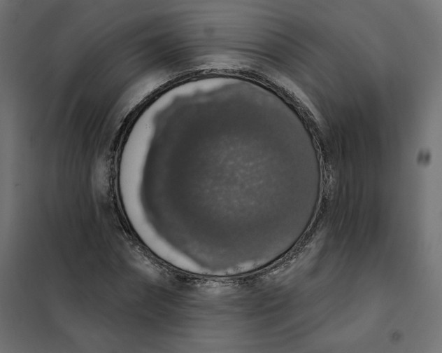 X0000101400874200807280959