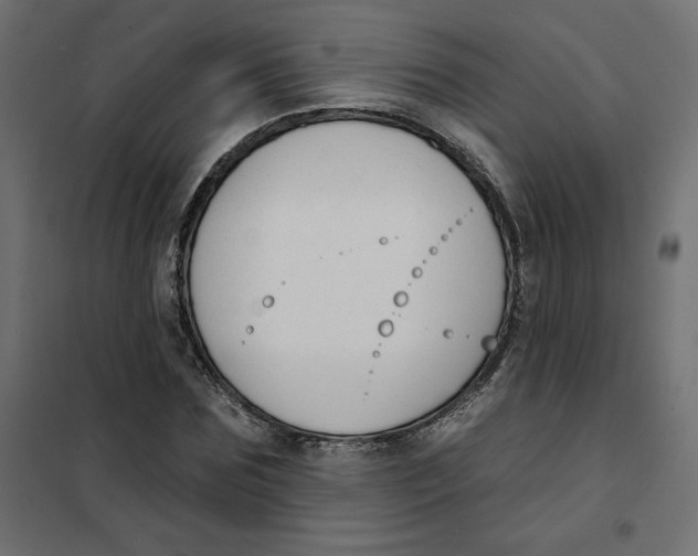 X0000101400875200807280959