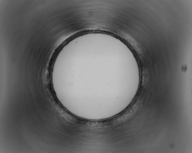 X0000101400876200807280959