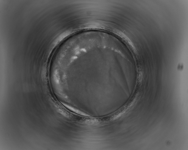 X0000101400882200807280959