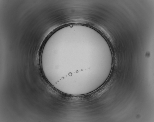 X0000101400883200807280959