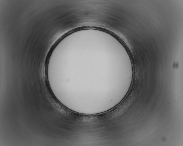 X0000101400887200807280959