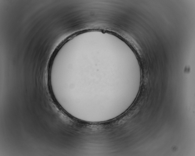 X0000101400888200807280959