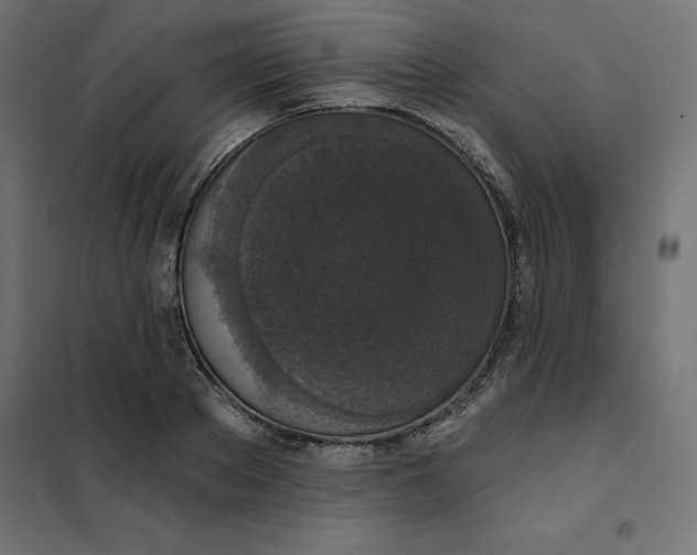 X0000101400889200807280959