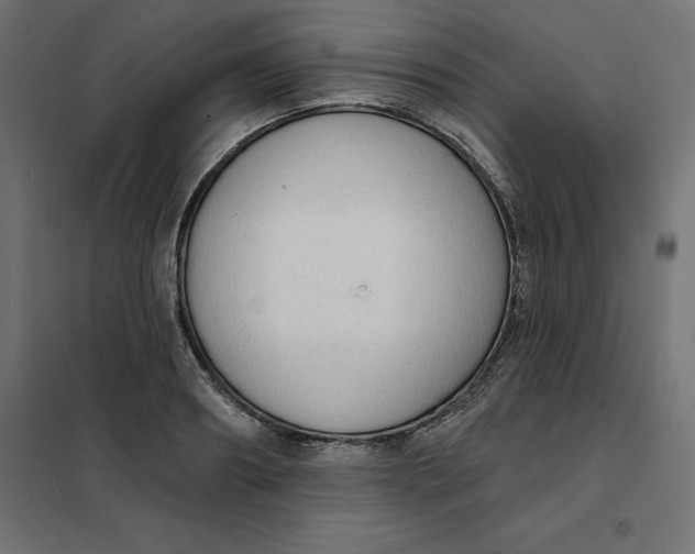 X0000101400890200807280959