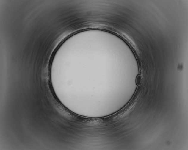 X0000101400891200807280959