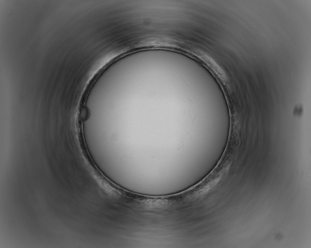 X0000101400893200807280959