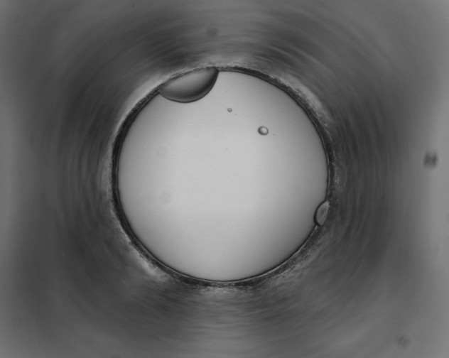 X0000101400894200807280959