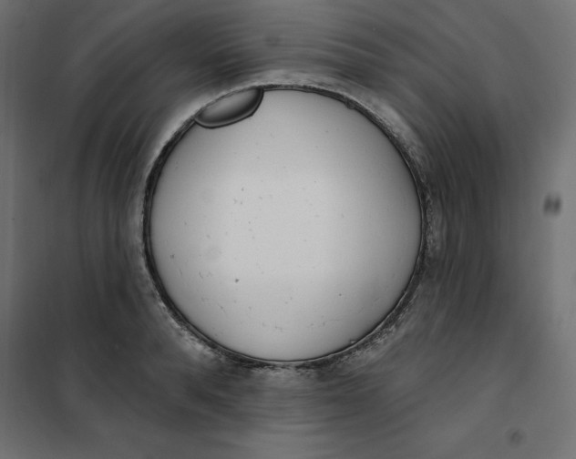 X0000101400896200807280959