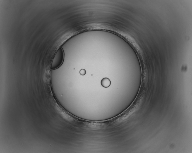 X0000101400897200807280959