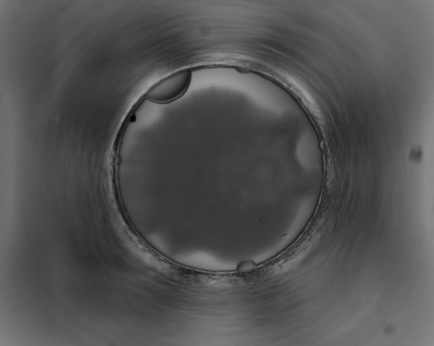 X0000101400899200807280959