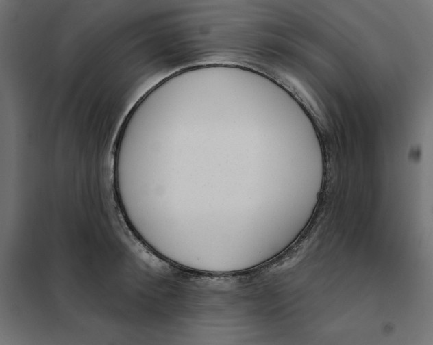 X0000101400900200807280959