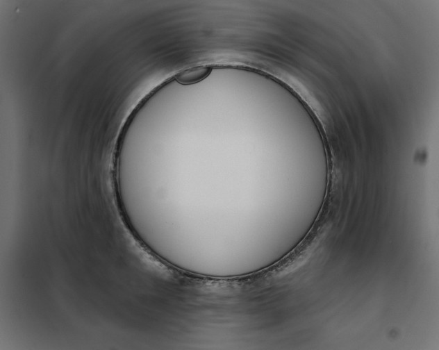 X0000101400901200807280959