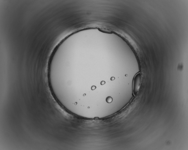 X0000101400902200807280959