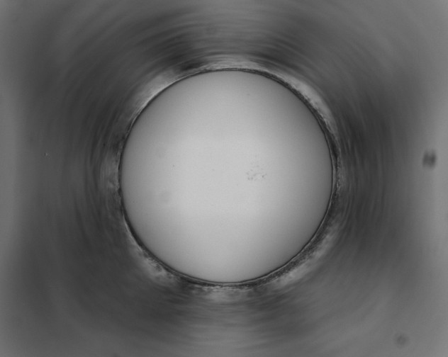 X0000101400905200807280959