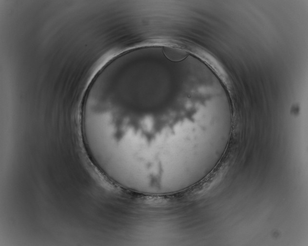 X0000101400907200807280959