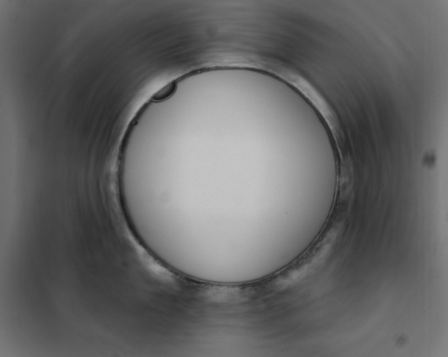 X0000101400909200807280959