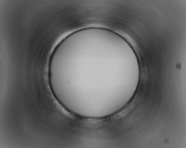 X0000101400910200807280959