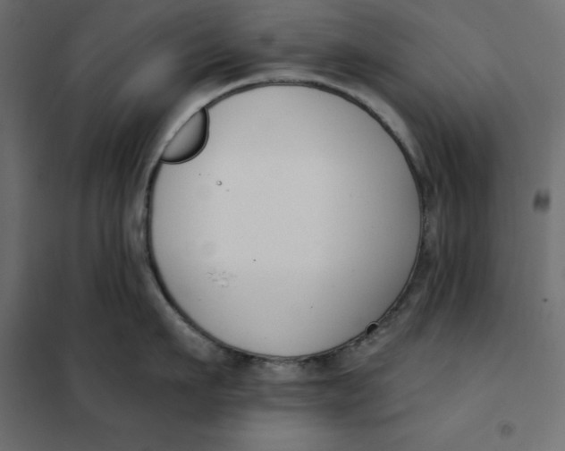 X0000101400911200807280959