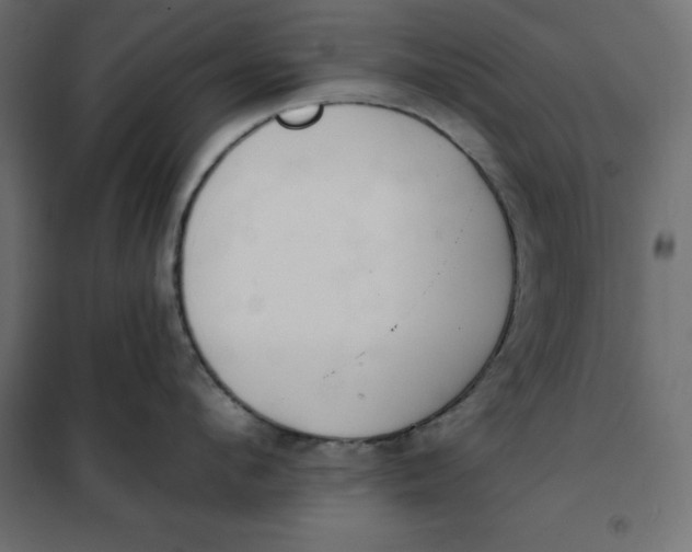 X0000101400912200807280959