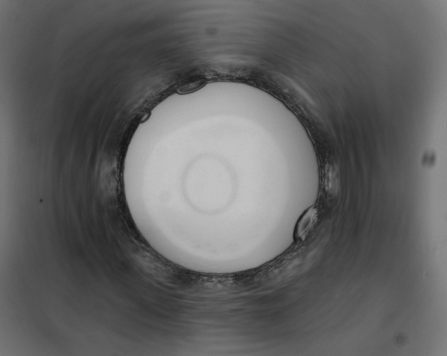 X0000101400915200807280958