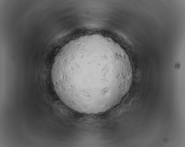 X0000101400917200807280958