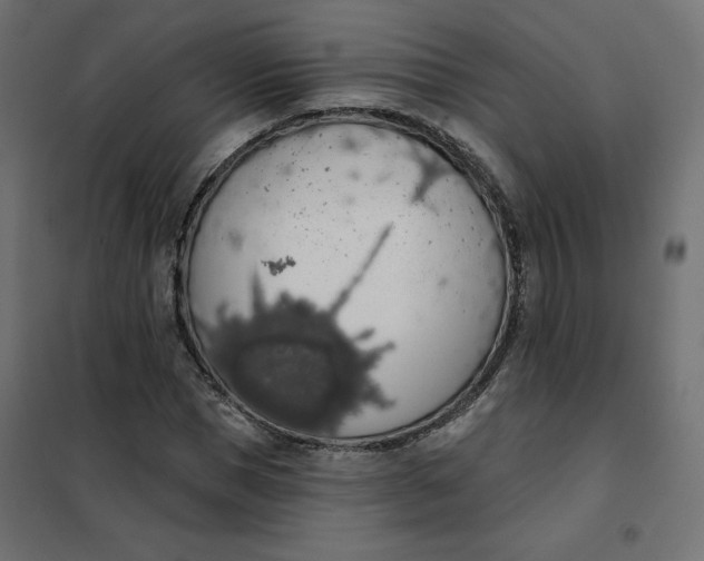 X0000101400921200807280958