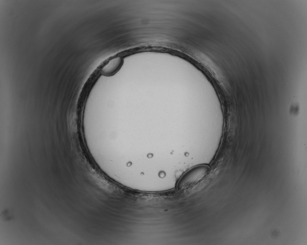 X0000101400924200807280958