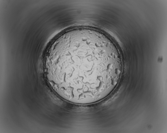 X0000101400925200807280958