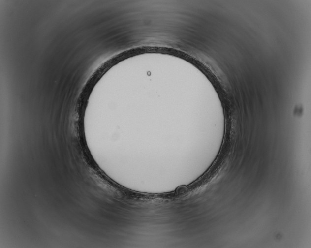 X0000101400926200807280958