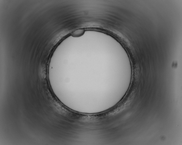 X0000101400929200807280958