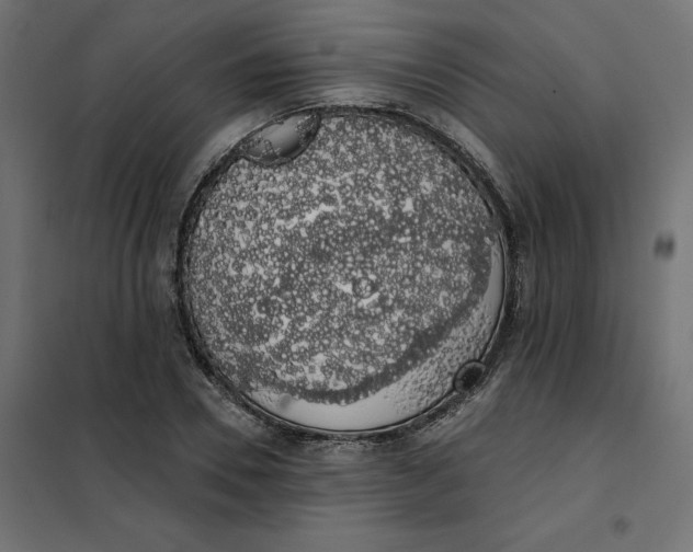 X0000101400930200807280958