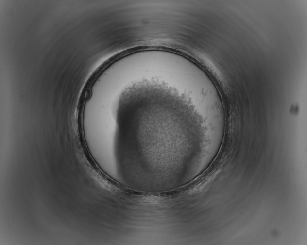 X0000101400932200807280958