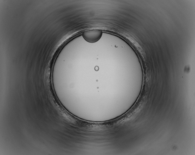 X0000101400933200807280958