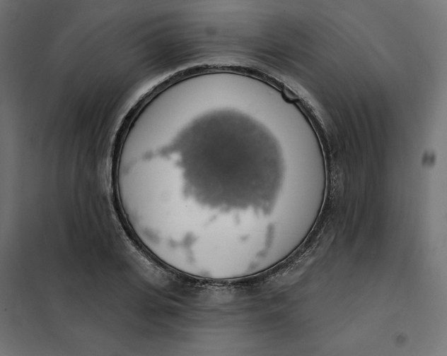 X0000101400935200807280958