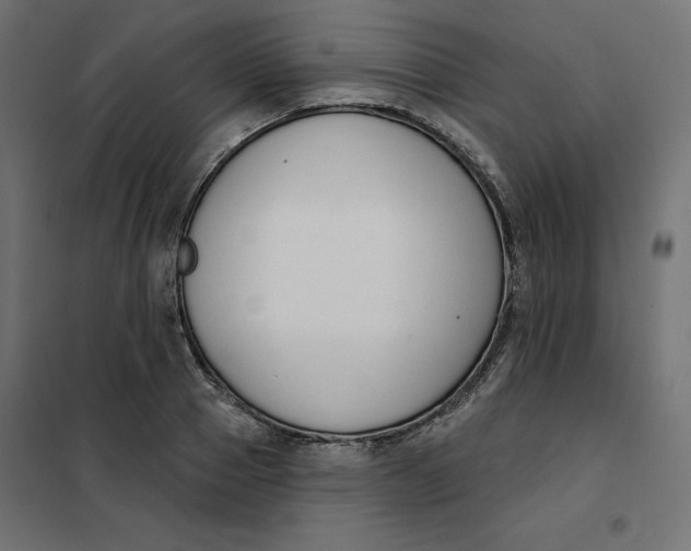 X0000101400937200807280958