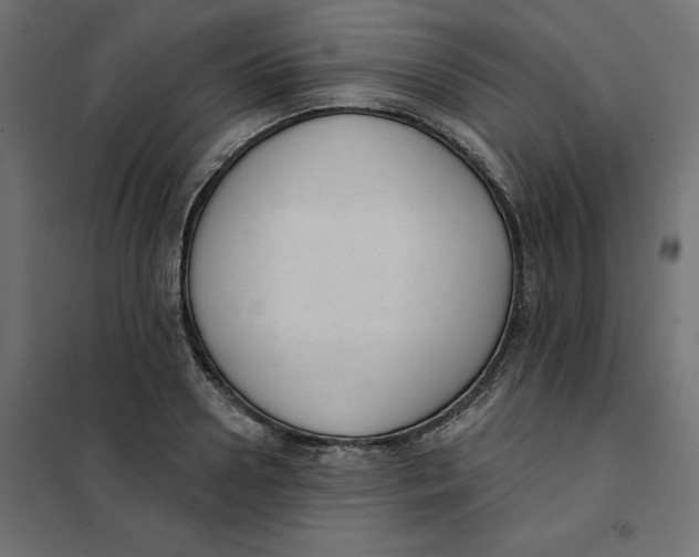 X0000101400938200807280958