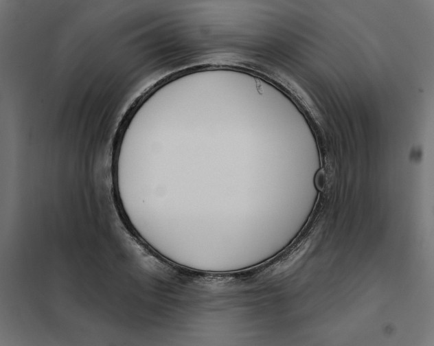 X0000101400939200807280958