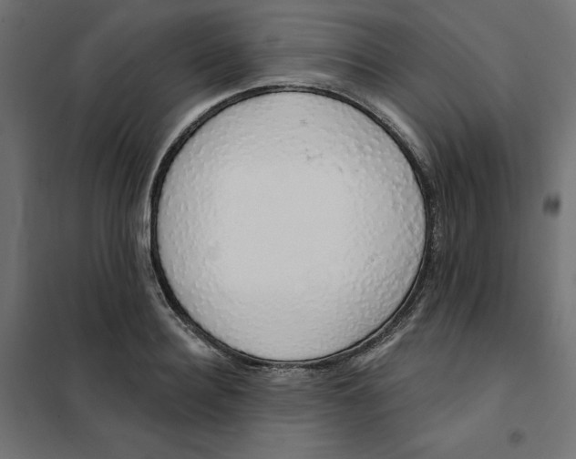 X0000101400940200807280958