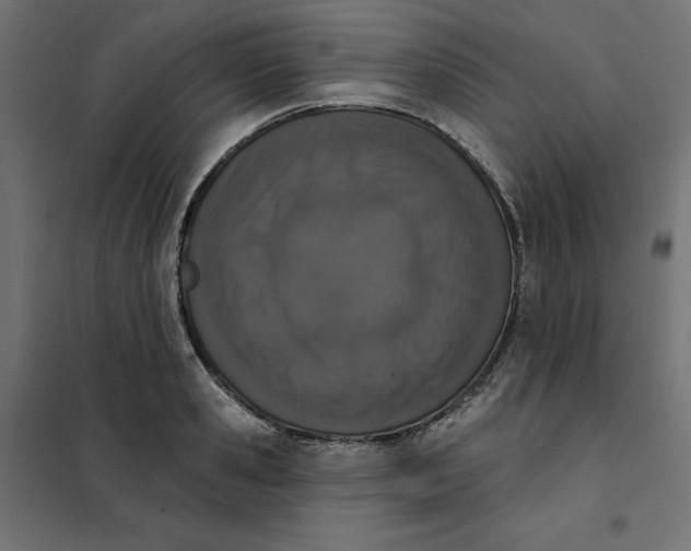 X0000101400941200807280958